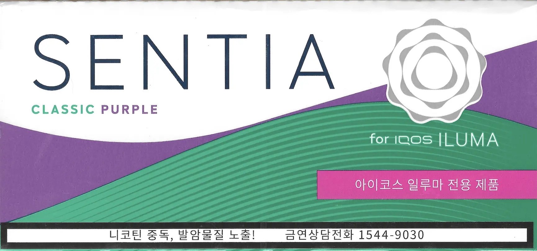 sentia purple